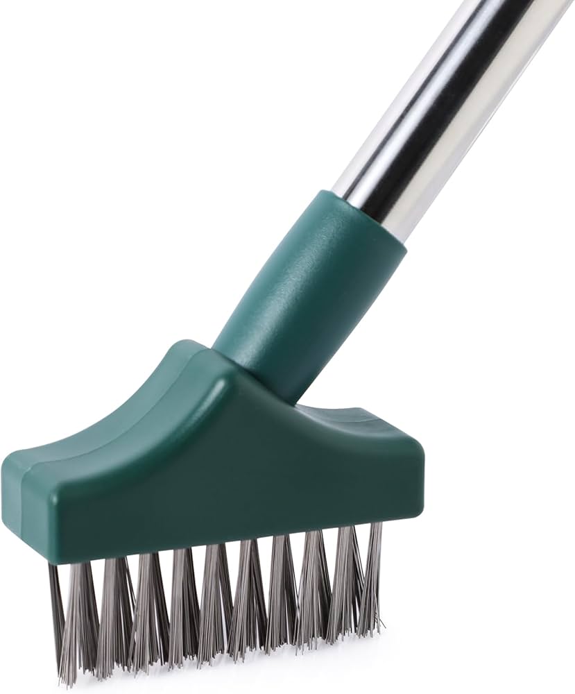 Amazon.com: Yocada Moss Remover - Crevice Cleaning Tool, Moss